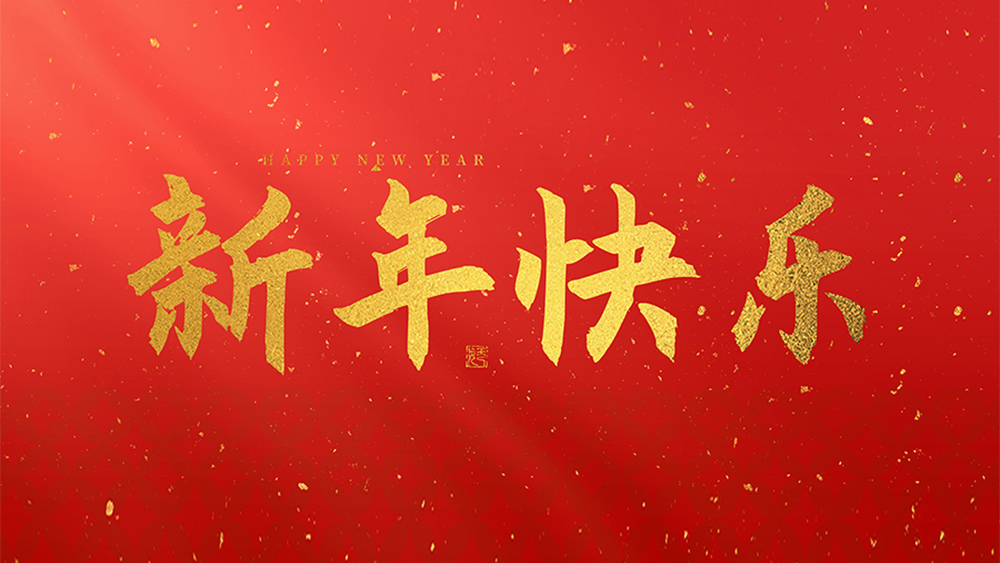 麗水市威儀自動(dòng)化技術(shù)有限公司祝全國(guó)人民2025新年快樂！
